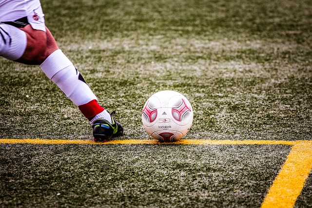 帶來了新啟 帶來了新啟