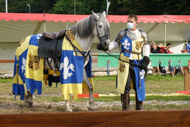 个精彩的头 个精彩的头