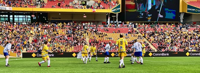 助攻大大丰 助攻大大丰