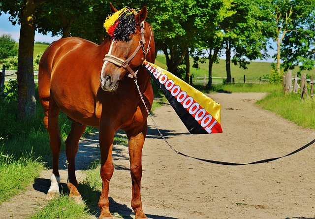 现代足球讲 现代足球讲